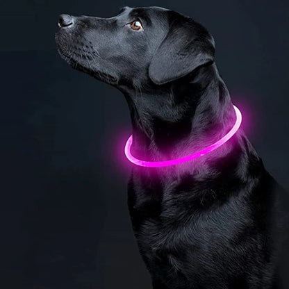 Usb Led Pet Collar