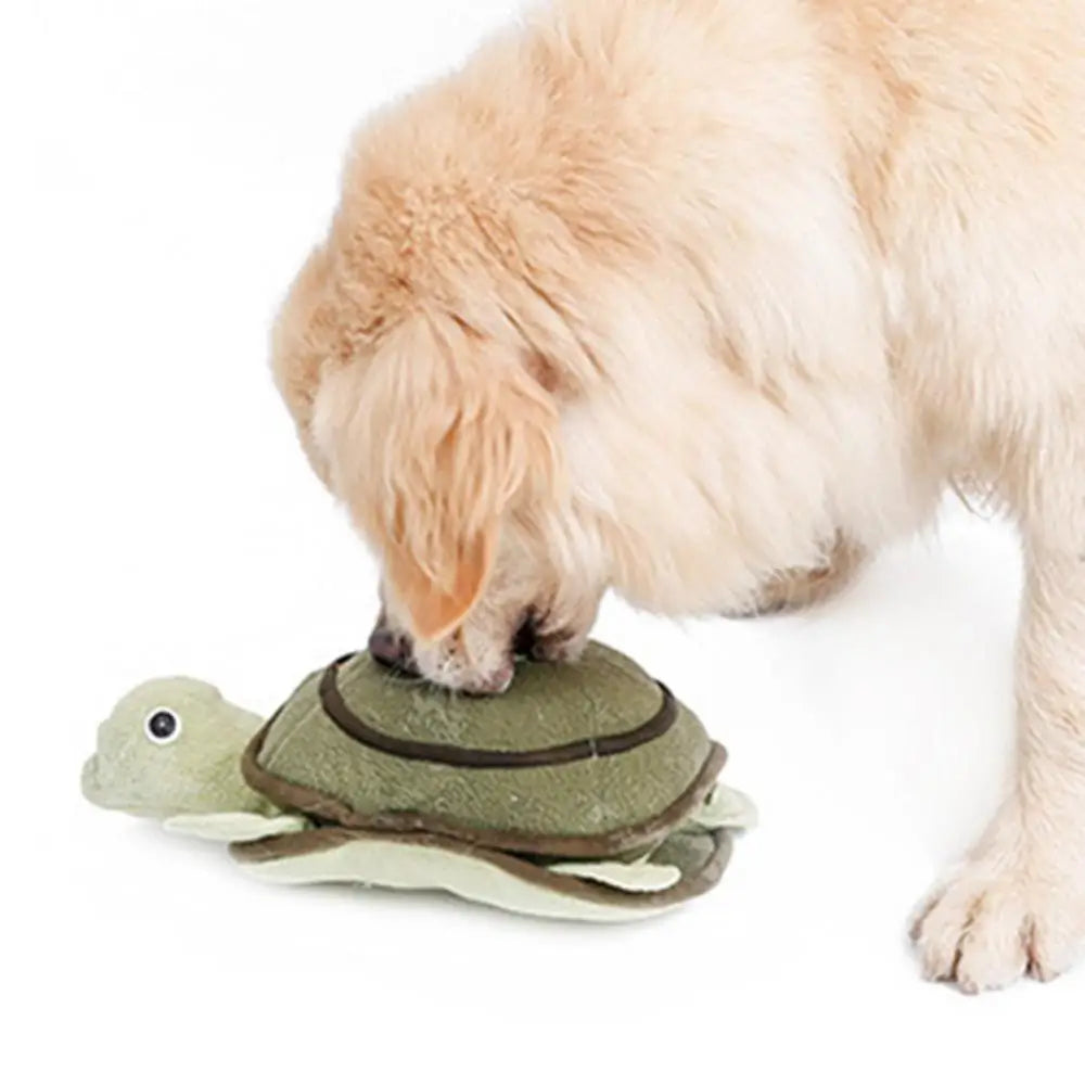 Squeaky Sniffing Slow Feeding Turtle