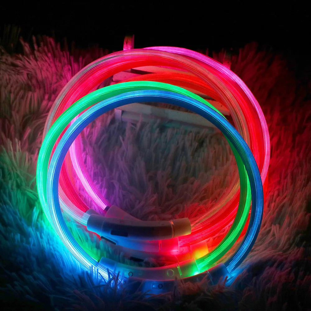 Usb Led Pet Collar