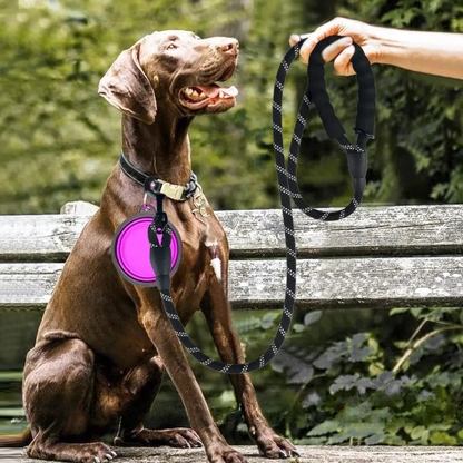 Reflective Leash for Golden Retrievers