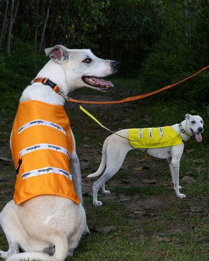 Wrangler Hi Vis Lightweight Safety Vest