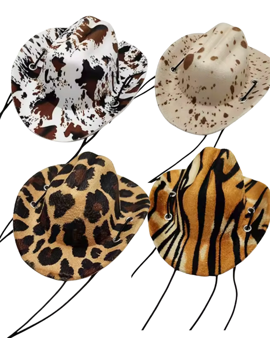 Patterned Pet cowboy hats