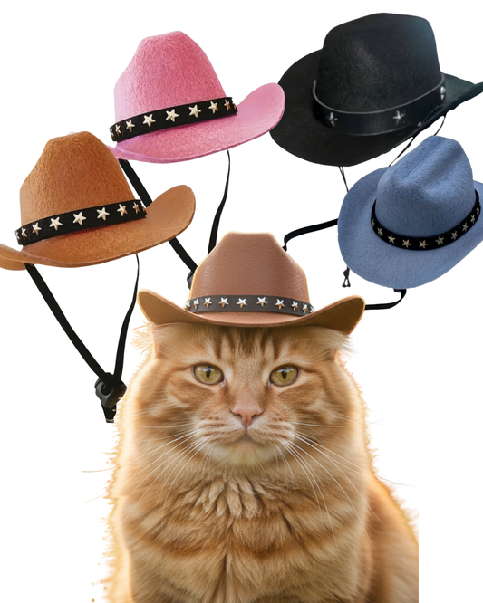 Cowboy/girl Hat -SMALL