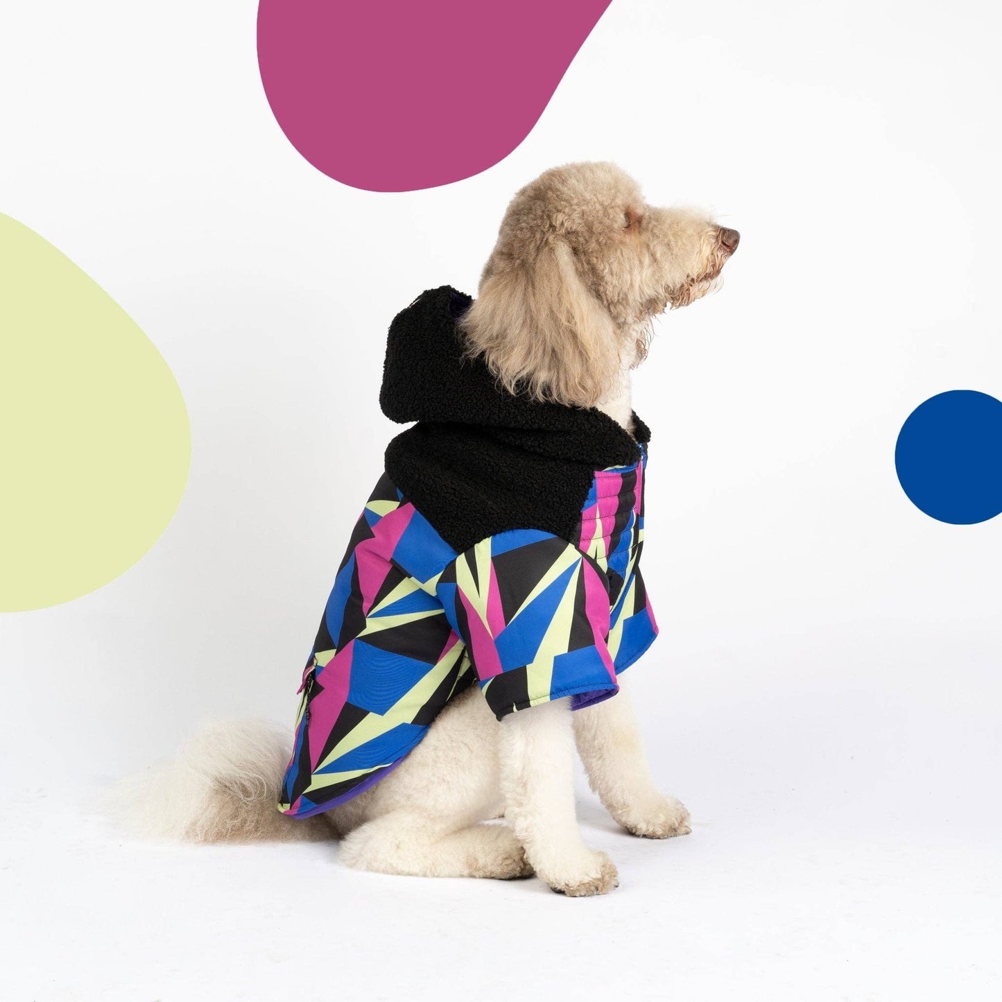 Ingo Dog Jacket-Water-Resistant Coat