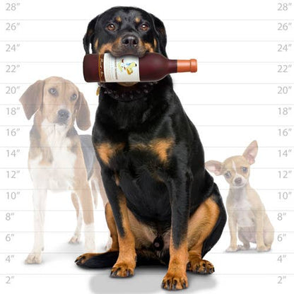 Silly Squeaker Wine Grrrobert Slobbery, Squeaky Dog Toy