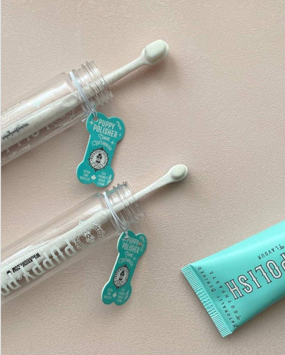 Puppy Polisher Eco Toothbrush - (Med/LG)