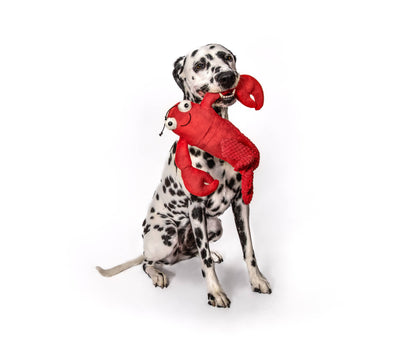 Floppy Lobster Plush Dog Toy: XXL 15.5"