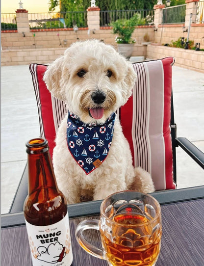 Beer for Dogs! Non-Alcoholic Vitamin Dog Beer