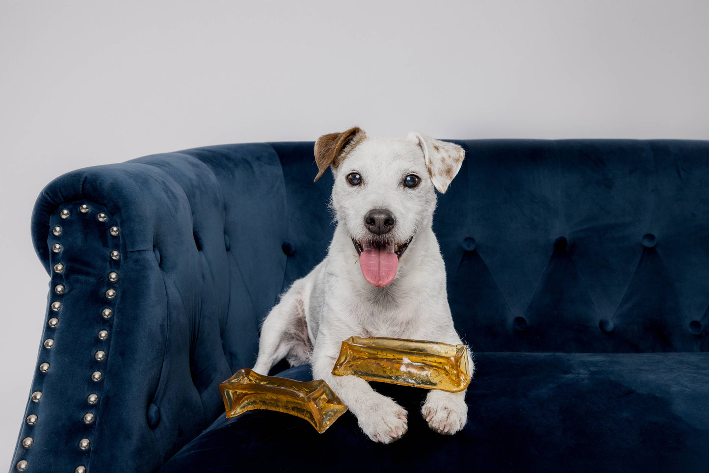 Bacon Collagen Dental Chew 2 Sizes