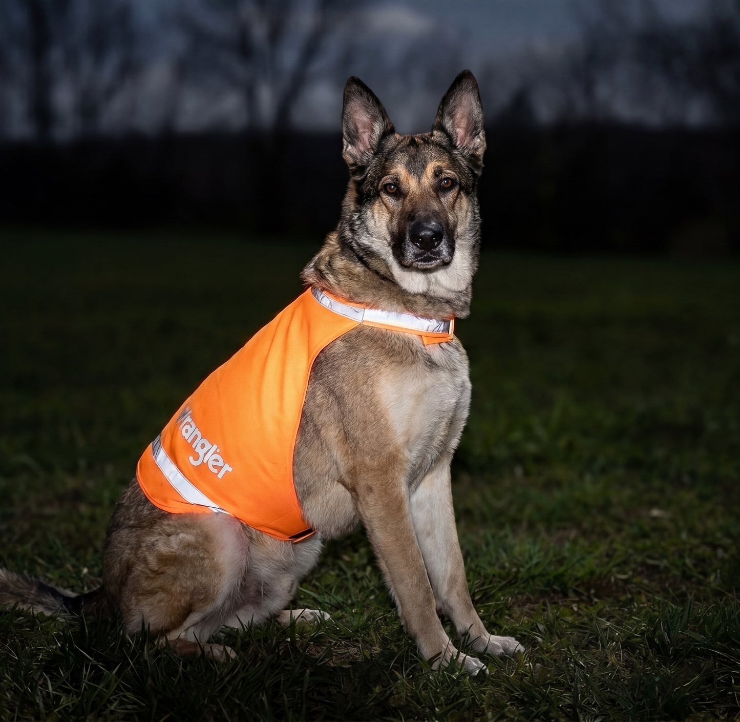 Wrangler® Hi Vis Safety Vest