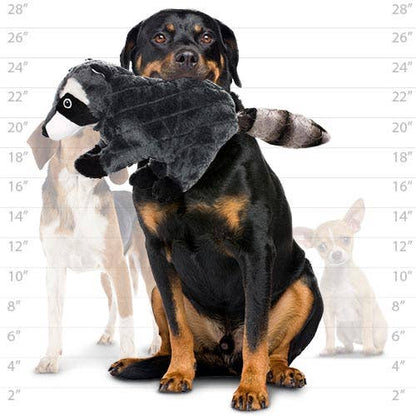 Mighty Nature Raccoon LG