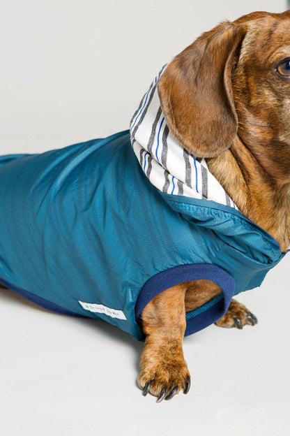 Rain Jacket Jogger & Windbreaker - Teal Blue