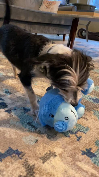 Chuckles Rhino