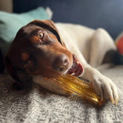 Bacon Collagen Dental Chew 2 Sizes