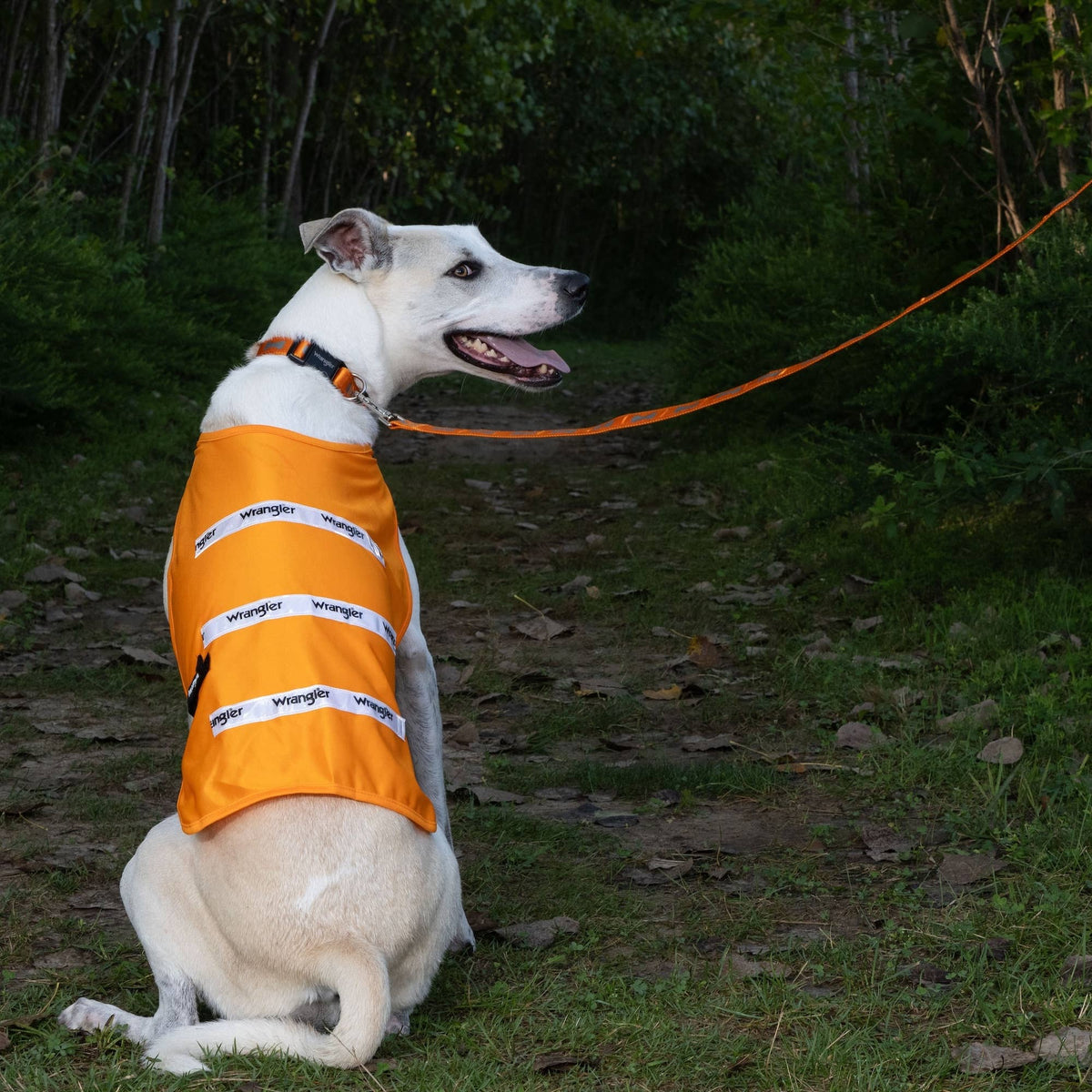 Wrangler Hi Vis Lightweight Safety Vest