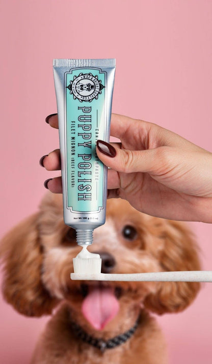 Puppy Polisher Eco Toothbrush - (Med/LG)