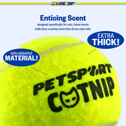Catnip balls