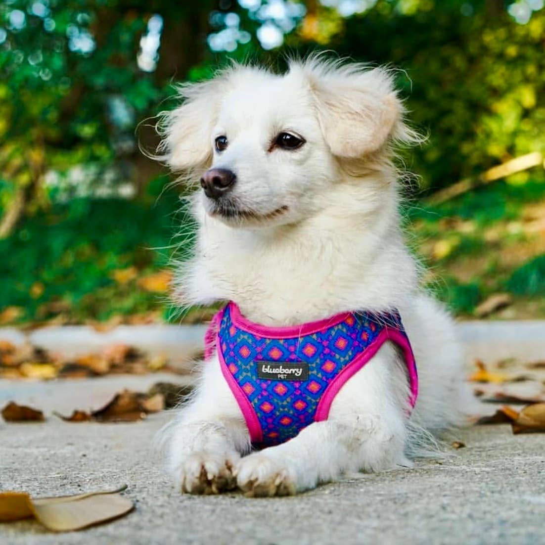 Southwestern Tribal Dog Harness Pink