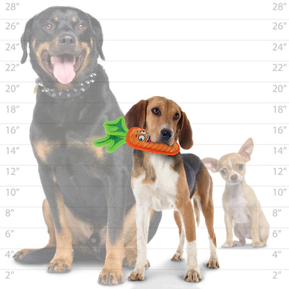 Tuffy Funny Jr Carrot