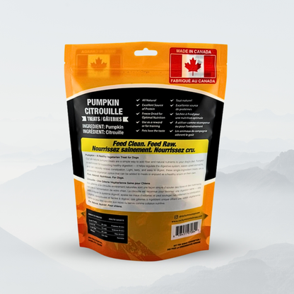 Air-Dried Pumpkin