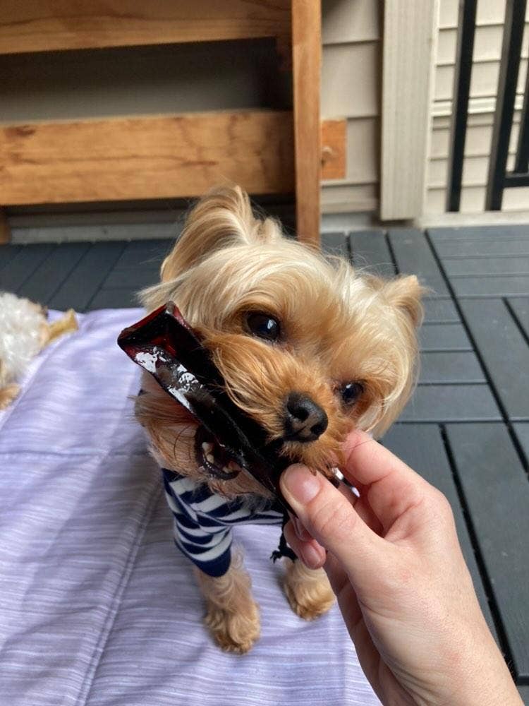 Bacon Collagen Dental Chew 2 Sizes