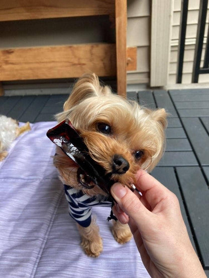 Bacon Collagen Dental Chew 2 Sizes