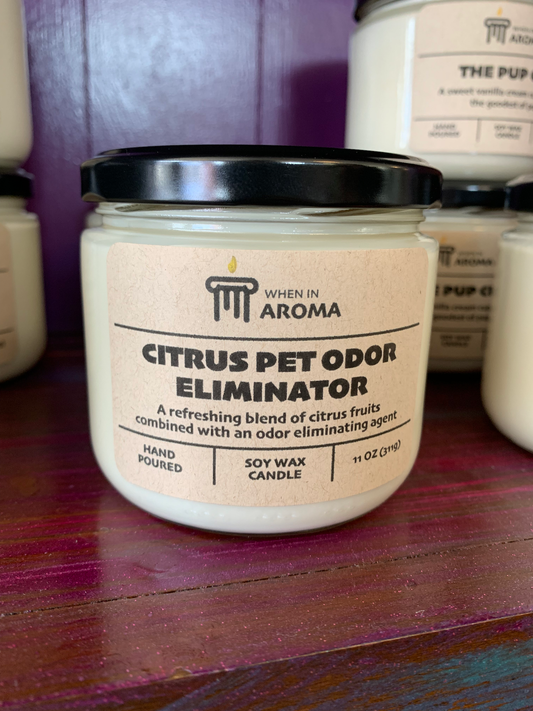 Citrus Pet Odor Eliminator Soy Candle - Pet Shop Candle: 11 oz