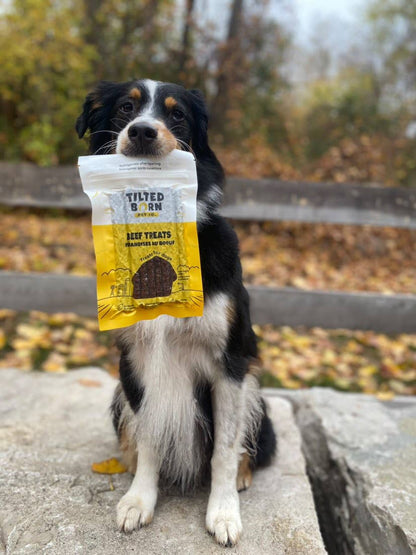 Beef Treats For Dogs sticks