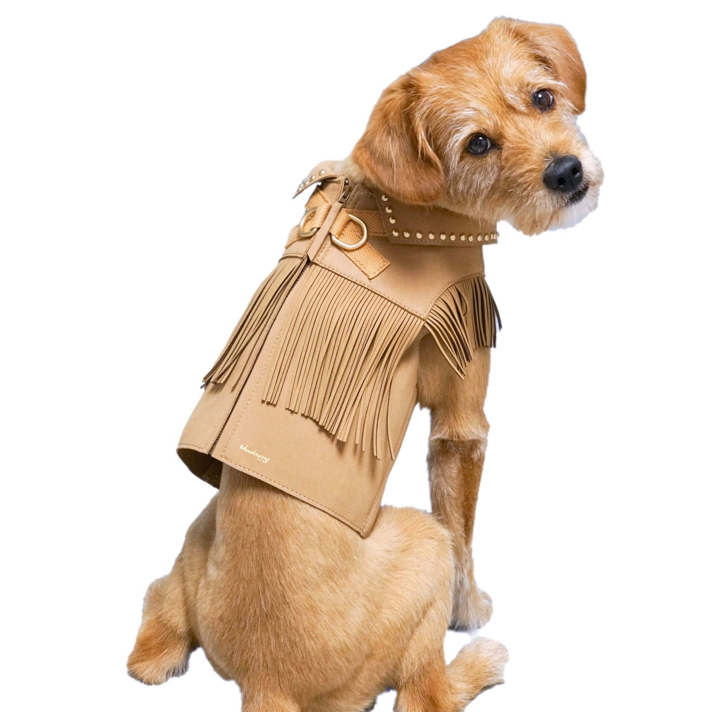 Fringed Dog Harness/Jacket