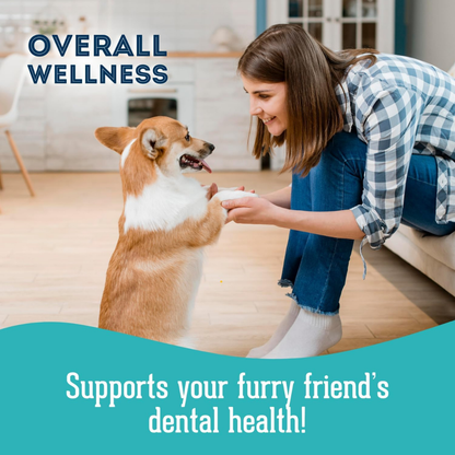 Dog Supplements-  Oral Health Supplement Dog Herbal Bites