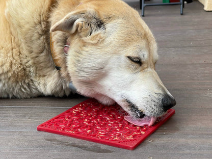 Bones Design Emat Enrichment Licking Mat: Purple Bones E-Mat