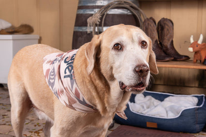Wrangler Pattern Bandana Tan Multi
