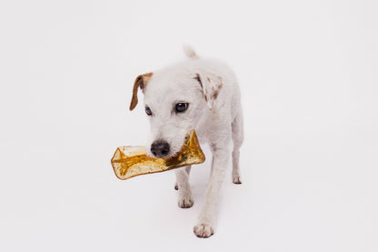 Bacon Collagen Dental Chew 2 Sizes