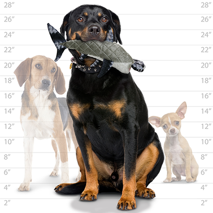 Mighty Ocean Hammerhead