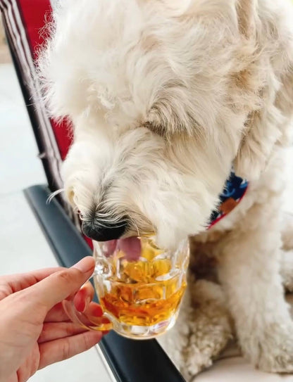 Beer for Dogs! Non-Alcoholic Vitamin Dog Beer