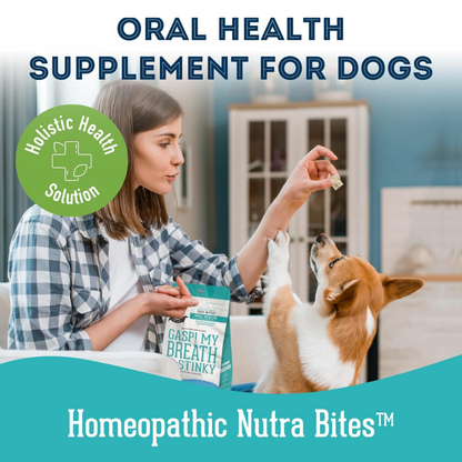 Dog Supplements-  Oral Health Supplement Dog Herbal Bites