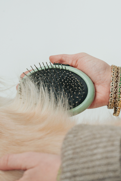 Grooming Palm Brush