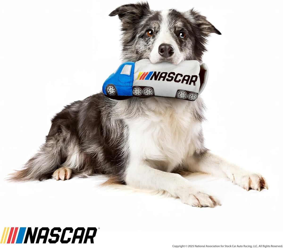 NASCAR Semi Truck and Race Car