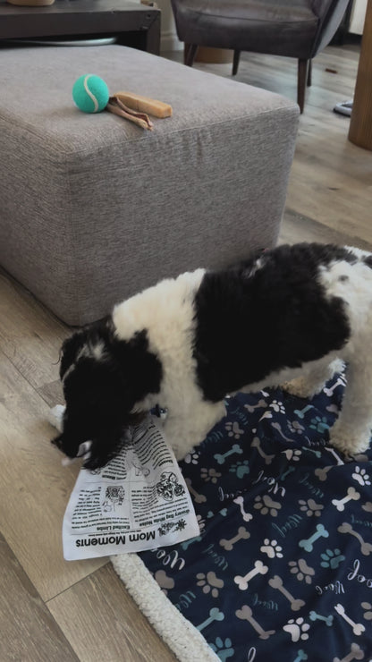 Crinkle Newspaper toy