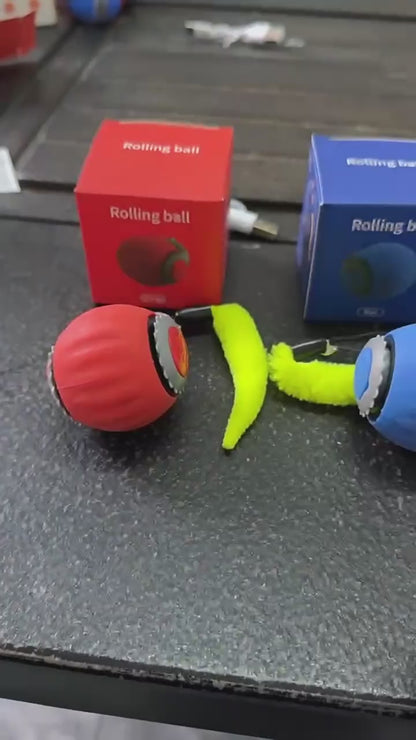 Smart Teaser Ball