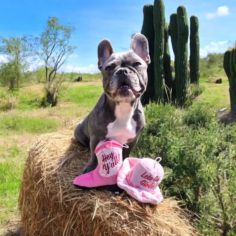 Pink Cowgirl Boot
