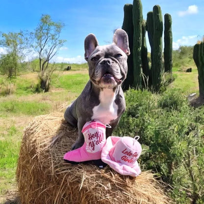 Pink Cowgirl Boot